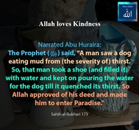 Allah loves kindness - Man enter Paradise upon quenching a dog thirst - Sahih al Bukhari - 173